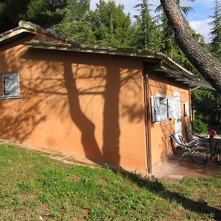 Malvarina Capodacqua  Dış mekan fotoğraf