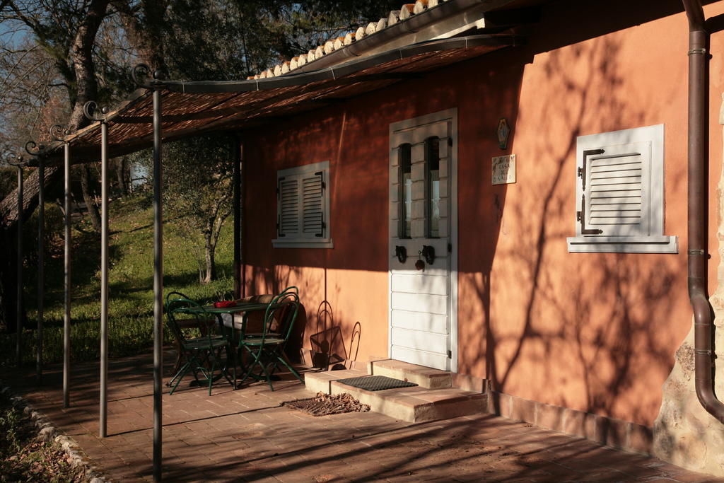 Malvarina Capodacqua  Oda fotoğraf